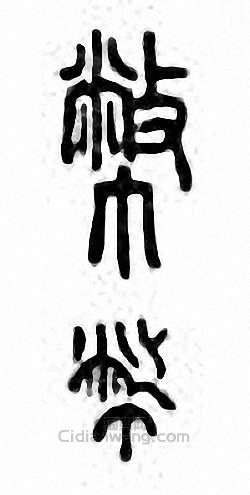 币篆刻印章