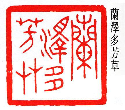 兰泽多芳草