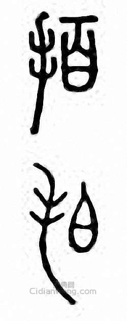 拍篆刻印章